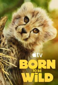 Возвращение в дикую природу (тв шоу 2025)