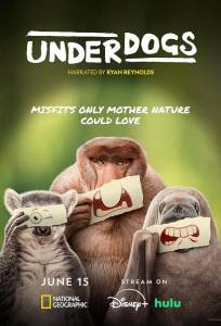 Аутсайдеры (сериал 2025)